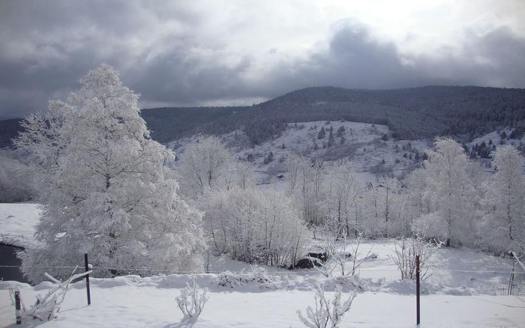 Les Chantenees La Bresse Luaran gambar