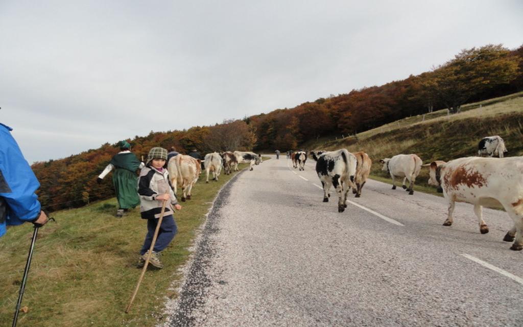 Les Chantenees La Bresse Luaran gambar