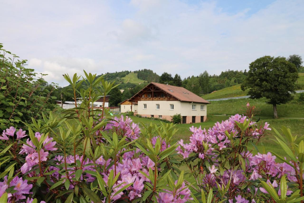Les Chantenees La Bresse Luaran gambar